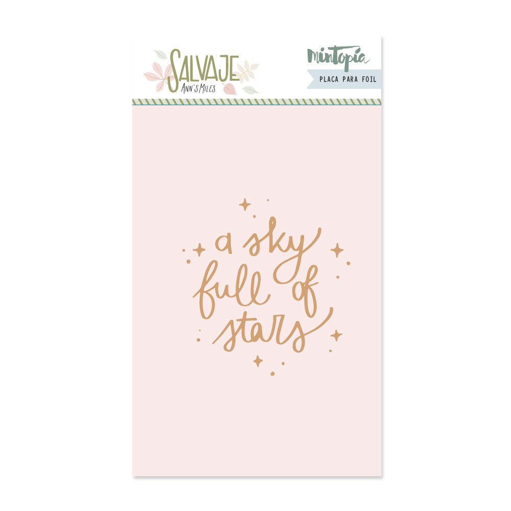 placa-hot-foilfun-full-of-star-VVMT024038