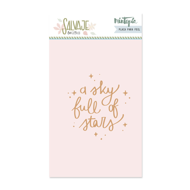 placa-hot-foilfun-full-of-star-VVMT024038