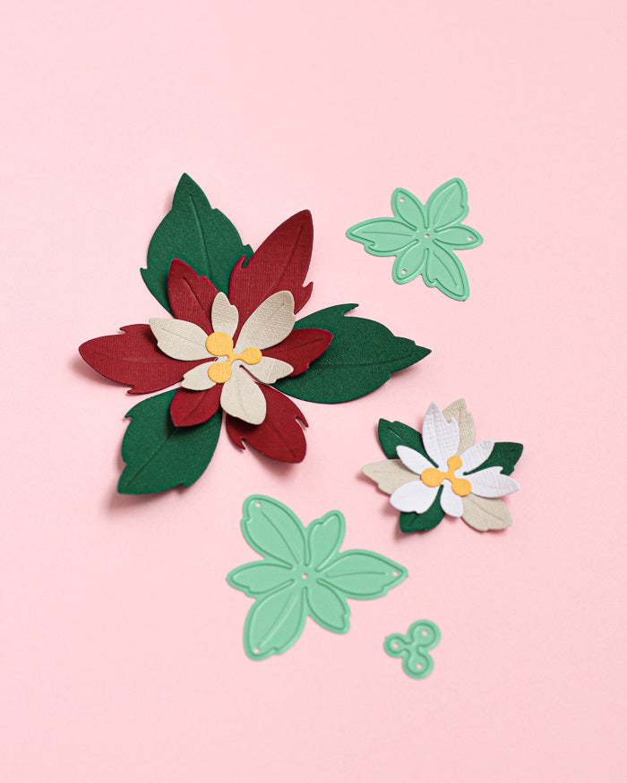 troquel-flor-de-pascua-celebra-VVMT025033
