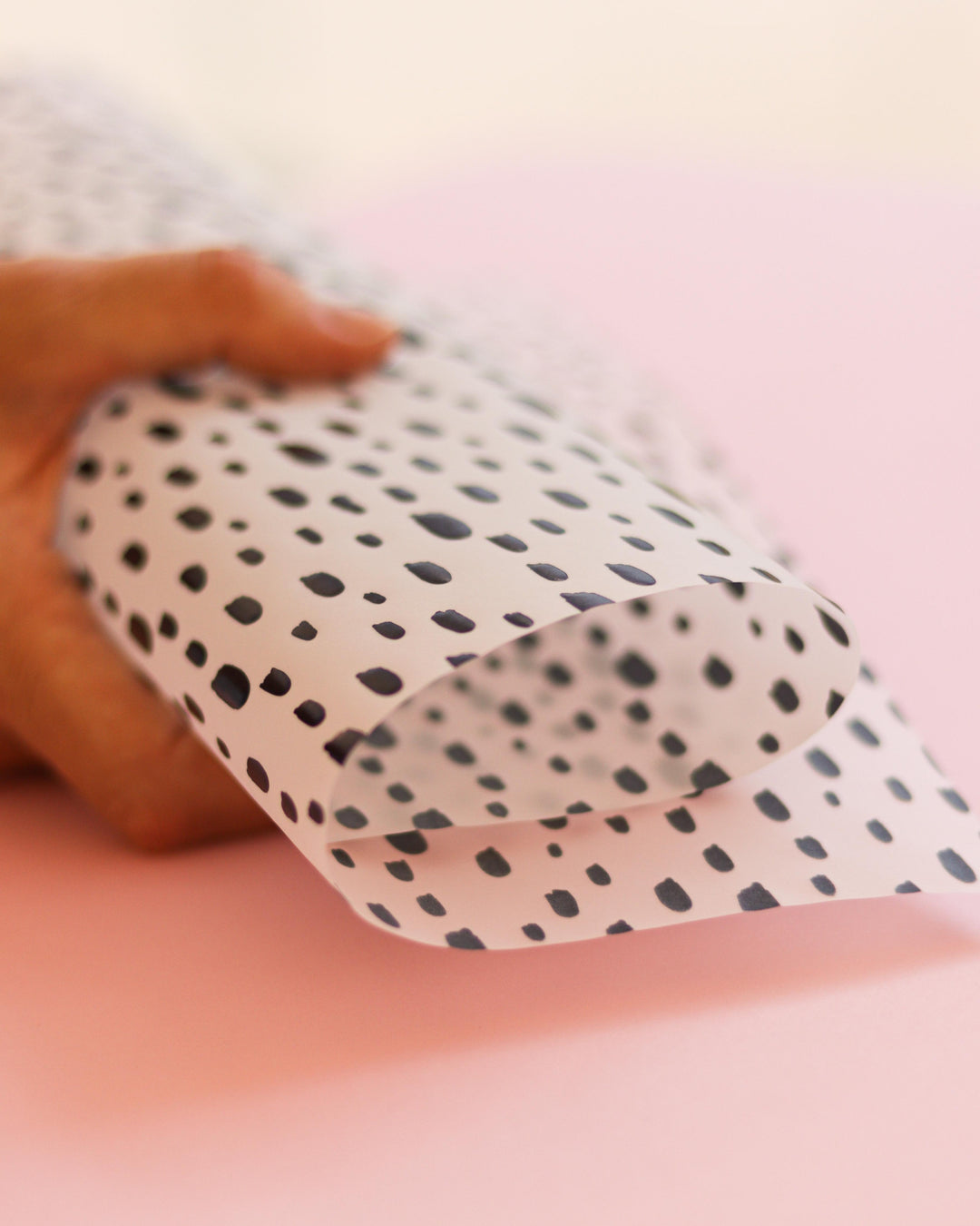 vellum-boo-de-mintopa-12MT029008